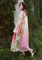 Mushq Petal Pull gallery photograph 3