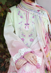 Mushq Petal Pull gallery photograph 4