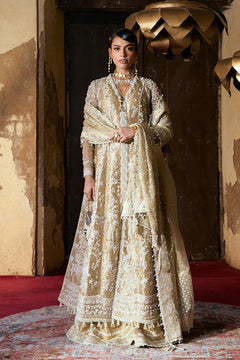 Suffuse Gulraiz image 1