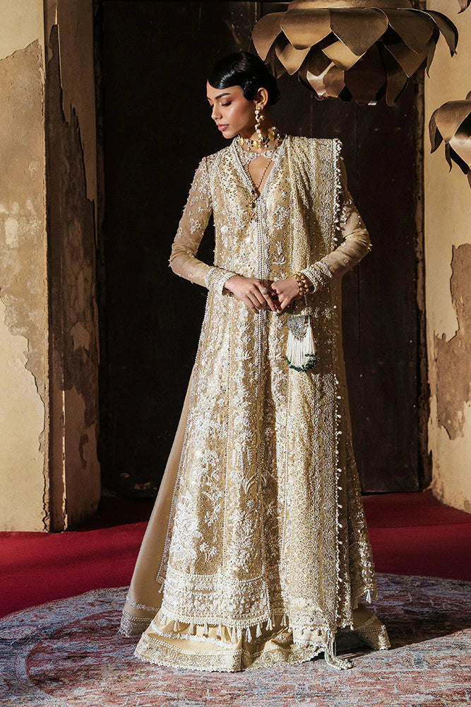 Suffuse Gulraiz image 3